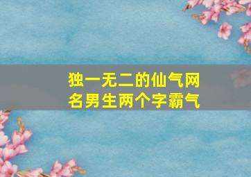 独一无二的仙气网名男生两个字霸气