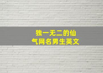 独一无二的仙气网名男生英文