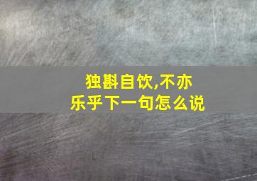 独斟自饮,不亦乐乎下一句怎么说