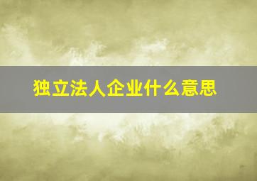 独立法人企业什么意思