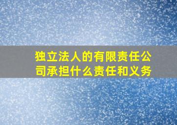 独立法人的有限责任公司承担什么责任和义务