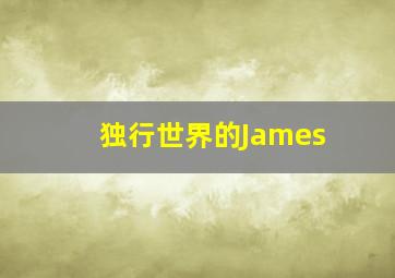 独行世界的James