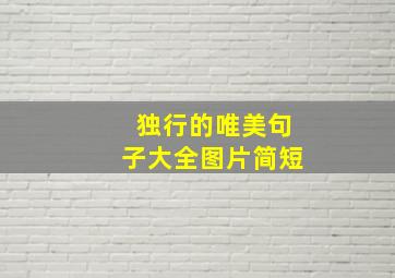 独行的唯美句子大全图片简短