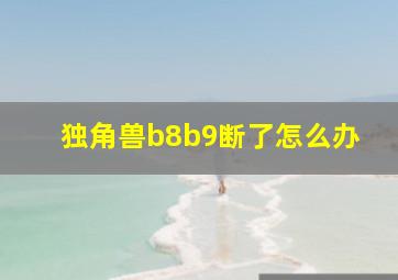 独角兽b8b9断了怎么办