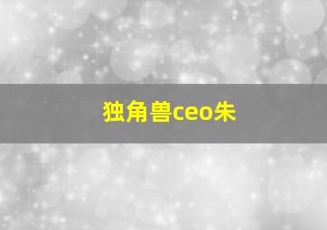 独角兽ceo朱