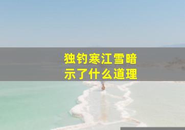 独钓寒江雪暗示了什么道理