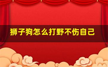 狮子狗怎么打野不伤自己