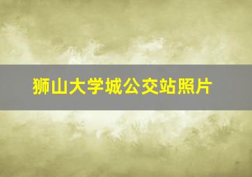 狮山大学城公交站照片