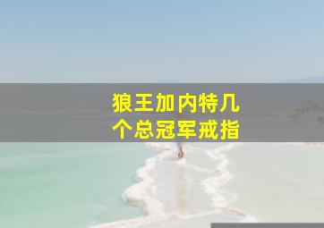 狼王加内特几个总冠军戒指