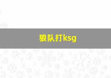 狼队打ksg