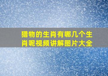 猎物的生肖有哪几个生肖呢视频讲解图片大全