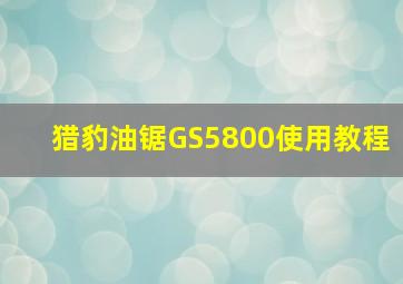 猎豹油锯GS5800使用教程