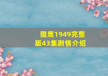 猎鹰1949完整版43集剧情介绍