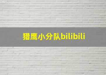 猎鹰小分队bilibili