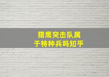 猎鹰突击队属于特种兵吗知乎