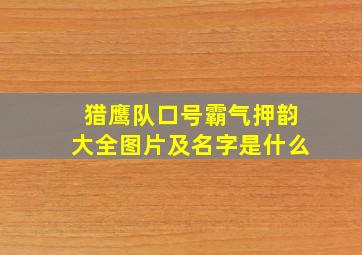 猎鹰队口号霸气押韵大全图片及名字是什么