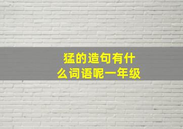 猛的造句有什么词语呢一年级