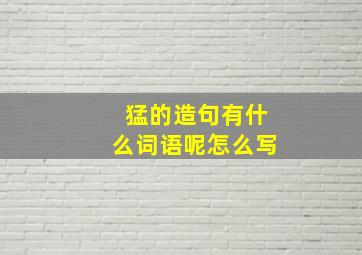 猛的造句有什么词语呢怎么写