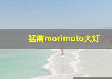 猛禽morimoto大灯