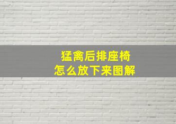 猛禽后排座椅怎么放下来图解