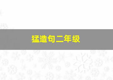 猛造句二年级