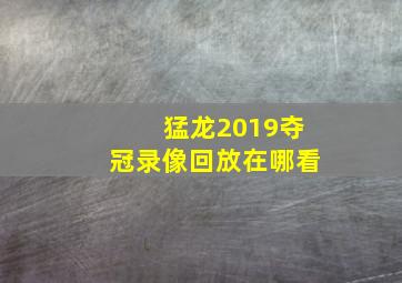 猛龙2019夺冠录像回放在哪看