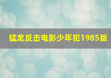 猛龙反击电影少年犯1985版