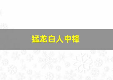 猛龙白人中锋