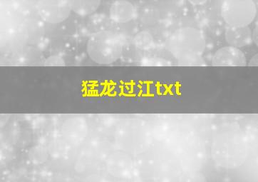 猛龙过江txt