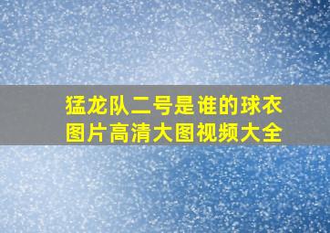 猛龙队二号是谁的球衣图片高清大图视频大全