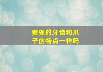 猩猩的牙齿和爪子的特点一样吗