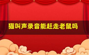 猫叫声录音能赶走老鼠吗