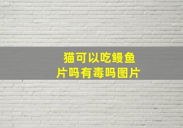 猫可以吃鳗鱼片吗有毒吗图片