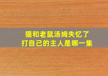 猫和老鼠汤姆失忆了打自己的主人是哪一集