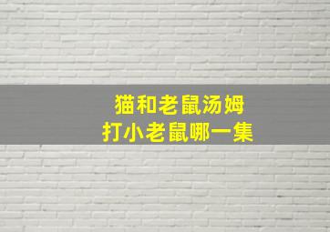 猫和老鼠汤姆打小老鼠哪一集