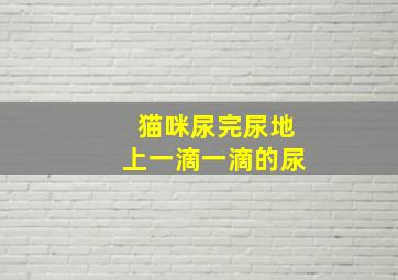 猫咪尿完尿地上一滴一滴的尿