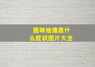 猫咪抽搐是什么症状图片大全