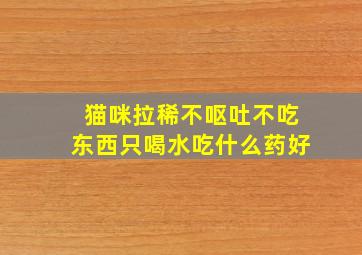 猫咪拉稀不呕吐不吃东西只喝水吃什么药好