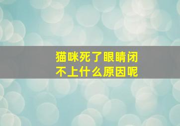 猫咪死了眼睛闭不上什么原因呢