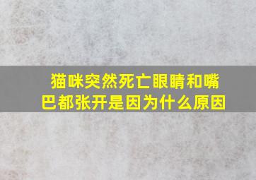 猫咪突然死亡眼睛和嘴巴都张开是因为什么原因