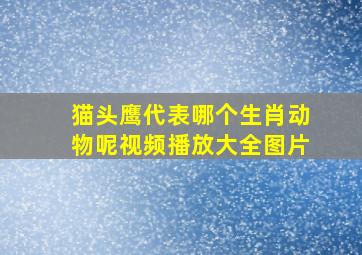 猫头鹰代表哪个生肖动物呢视频播放大全图片