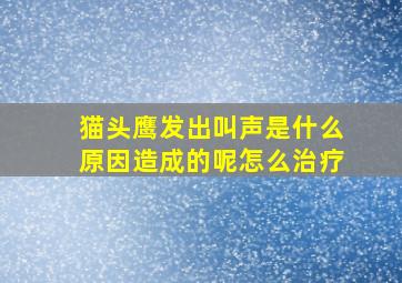 猫头鹰发出叫声是什么原因造成的呢怎么治疗