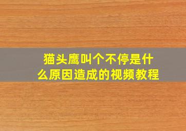 猫头鹰叫个不停是什么原因造成的视频教程