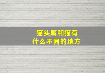 猫头鹰和猫有什么不同的地方