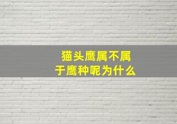 猫头鹰属不属于鹰种呢为什么