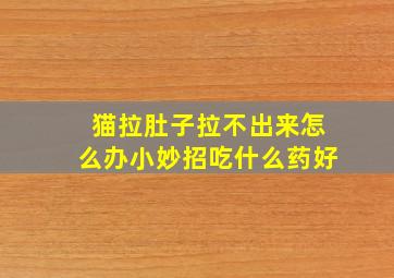 猫拉肚子拉不出来怎么办小妙招吃什么药好