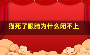 猫死了眼睛为什么闭不上