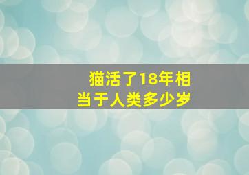 猫活了18年相当于人类多少岁