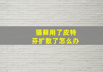 猫藓用了皮特芬扩散了怎么办