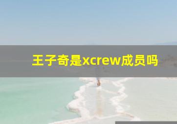 王子奇是xcrew成员吗